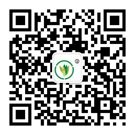 &#31859;&#20848;&#32593;&#39029;&#29256;&#45;&#31859;&#20848;&#40;&#20013;&#22269;&#41;